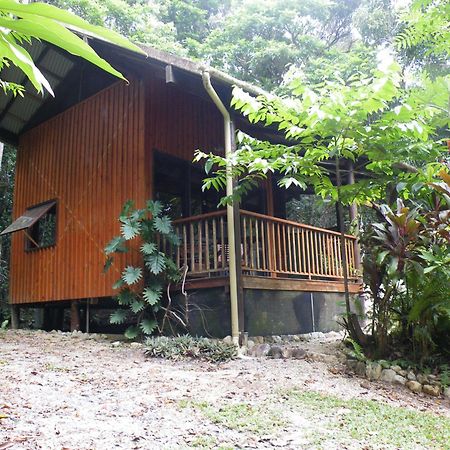 Epiphyte B & B Cow Bay Exterior photo