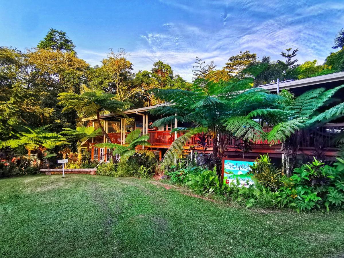 Epiphyte B & B Cow Bay Exterior photo