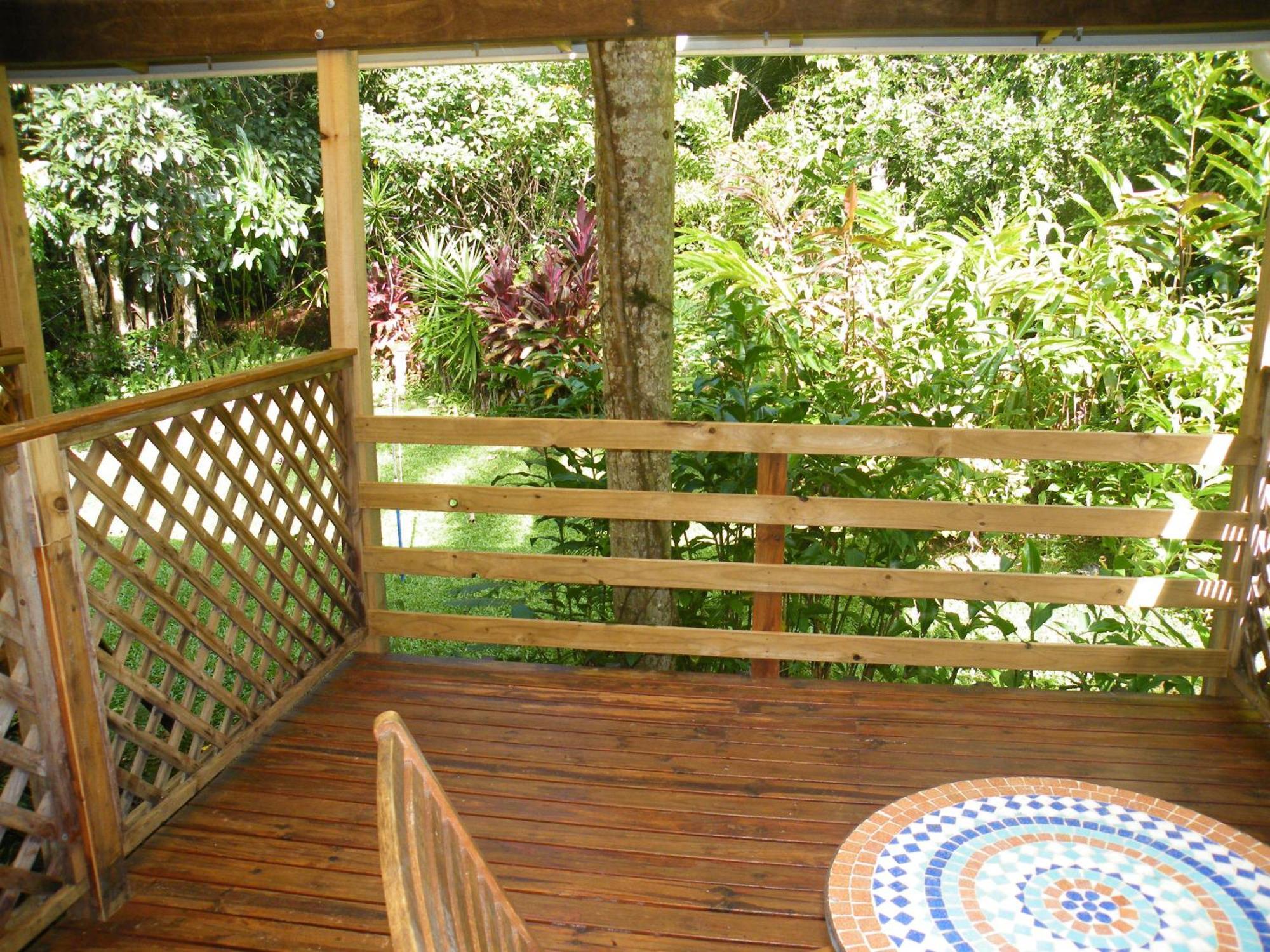 Epiphyte B & B Cow Bay Room photo